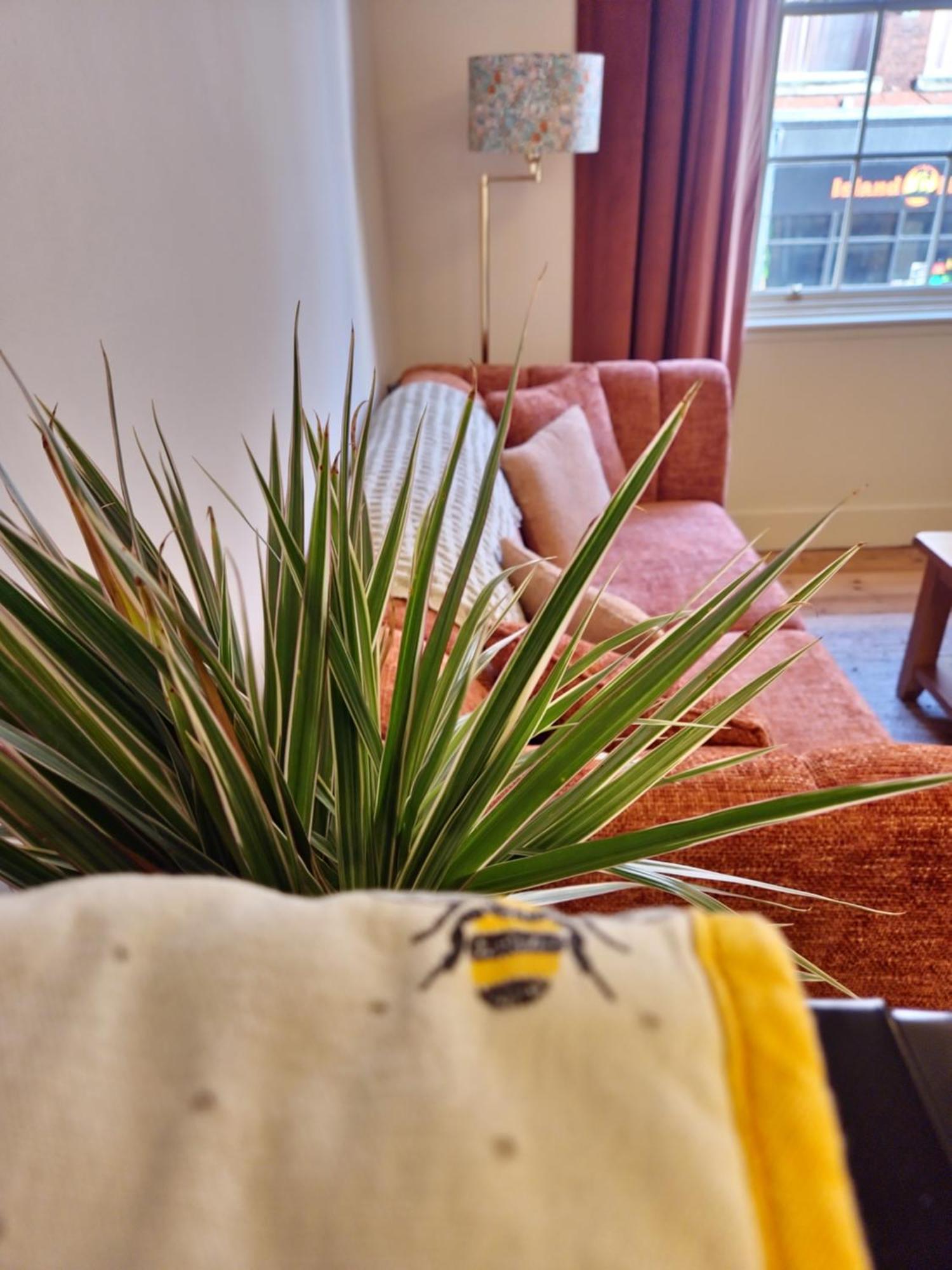 Central Gloucester Self-Catering Flat - A Hidden Gem Buitenkant foto